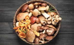 Грибы и грибная продукция